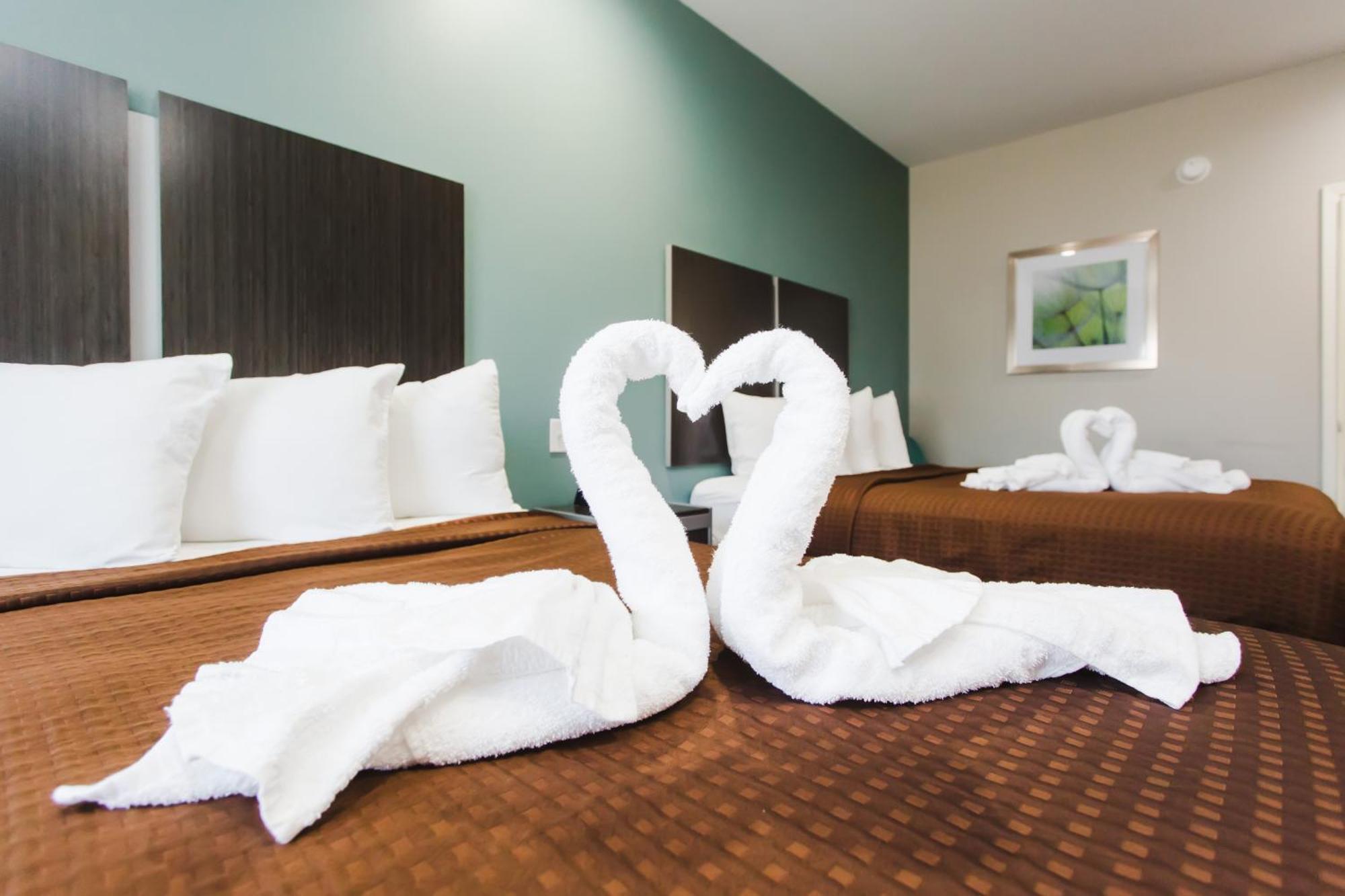 Express Inn - Spring Bagian luar foto
